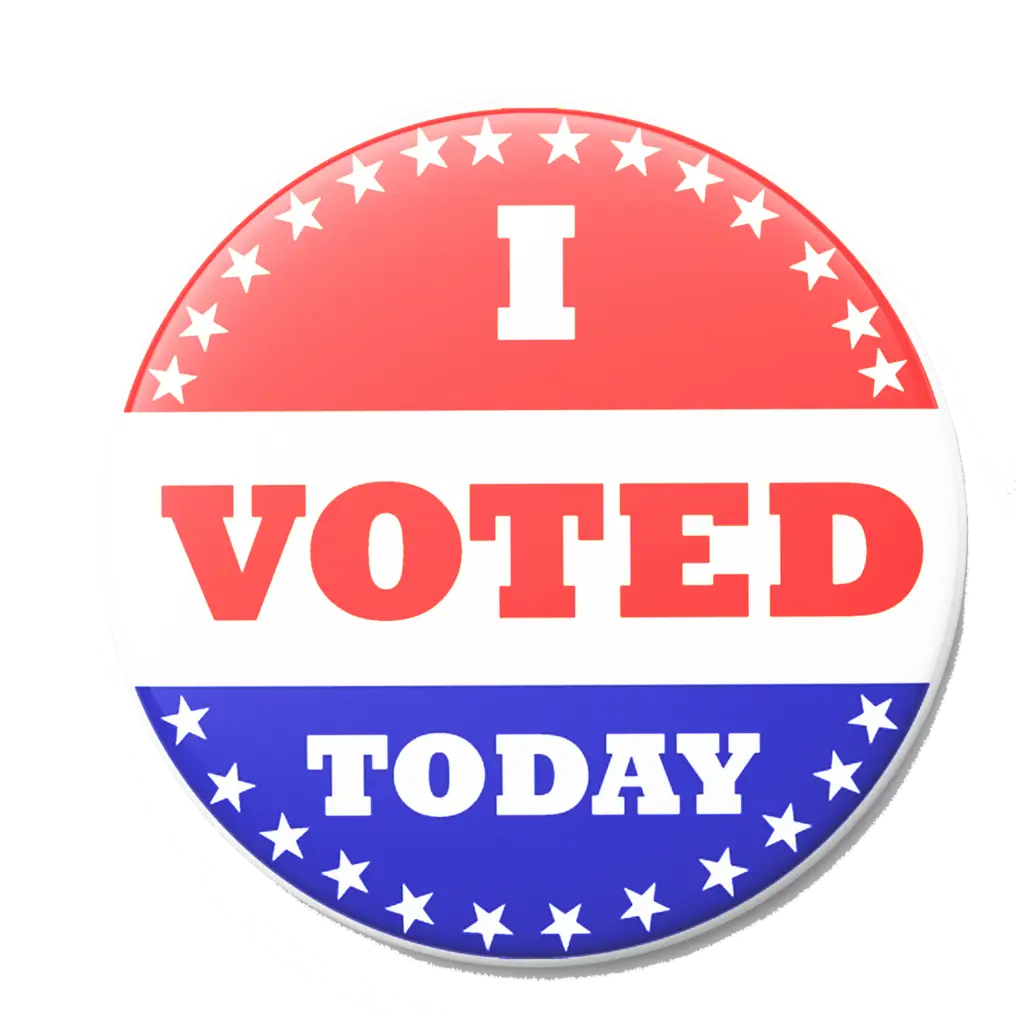 i voted today pin